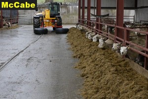 McCabe Silage Phuser in Action